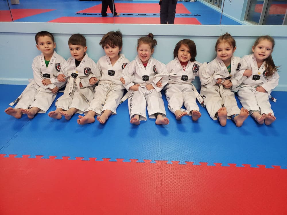 AK Family Taekwondo Toddlers